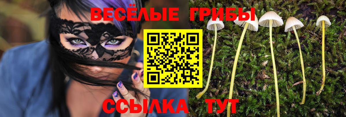 Псилоцибиновые грибы GOLDEN TEACHER Ивантеевка